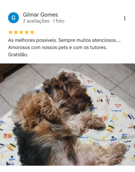 Avaliação 5 estrelas