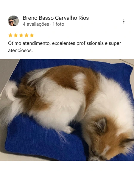 Avaliação 5 estrelas