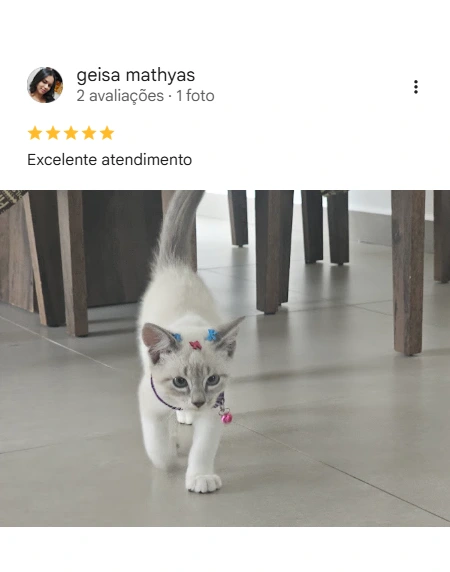 Avaliação 5 estrelas