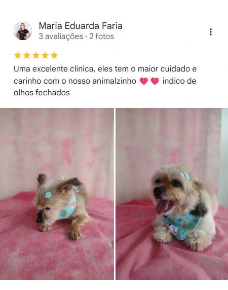 Avaliação 5 estrelas
