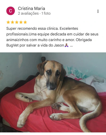 Avaliação 5 estrelas