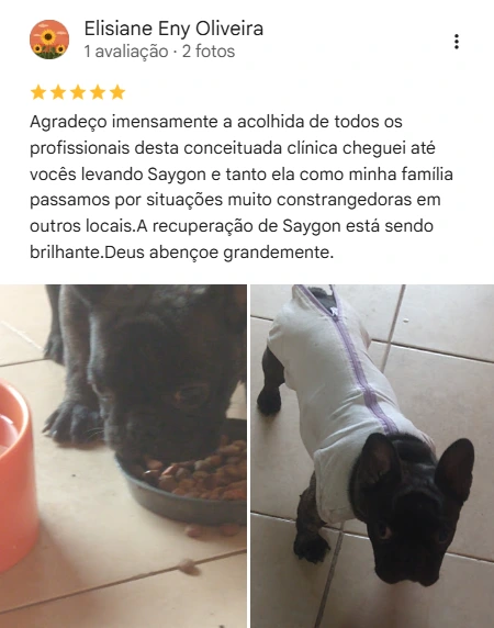 Avaliação 5 estrelas